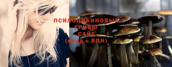 2c-b Михайловск