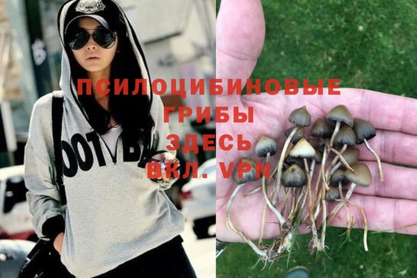 2c-b Михайлов