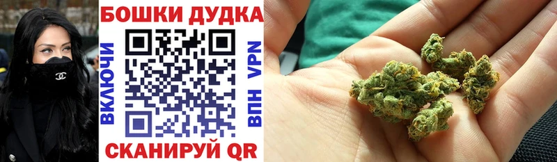 наркотики  Первомайск  Канабис Amnesia 